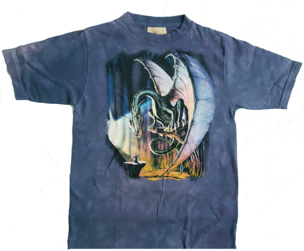 The Mountain Dragon &amp; Wizard Youth Tee Shirt (Md, Lg)