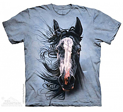 The Mountain Storm Chaser Horse T-Shirt (Lg, 2x)